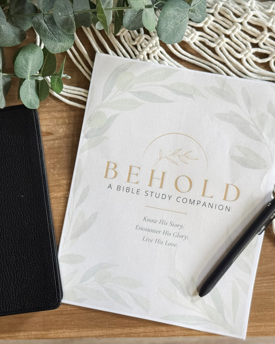 BEHOLD: A Bible Study Companion | Olive Branch | Digital Download