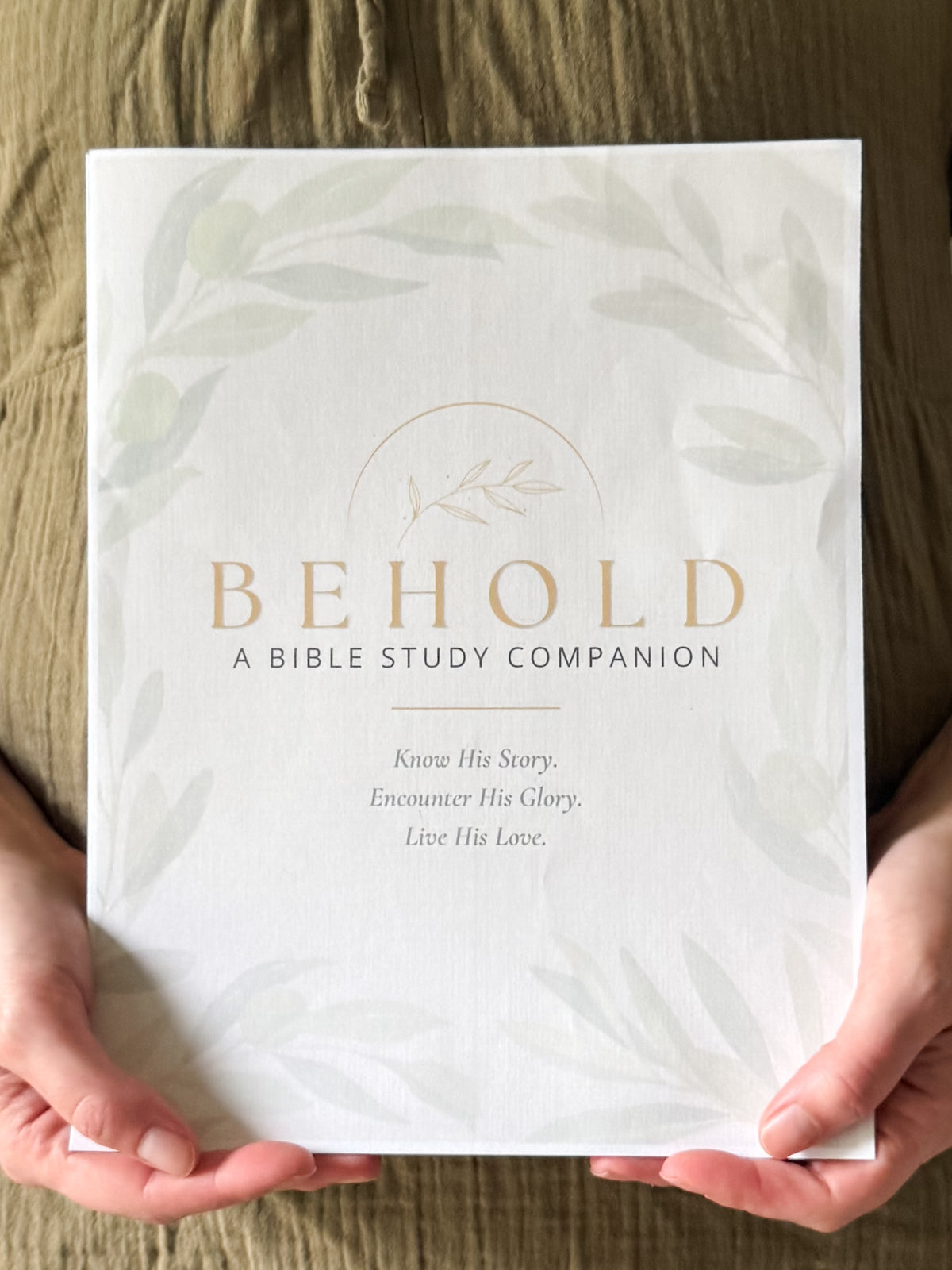 BEHOLD: Small Group License (25 Participants) | Olive Branch